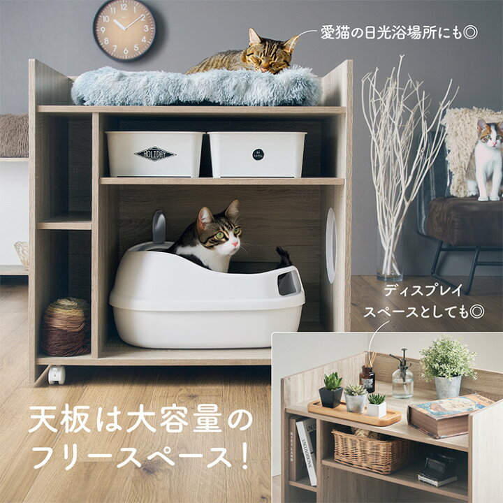 楽天市場】【7%OFFクーポン配布中!13日23:59】猫 トイレ 収納 シェルフ 
