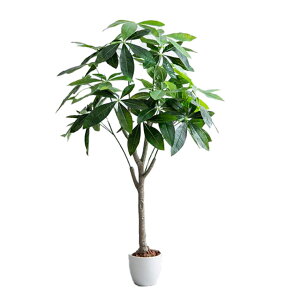 y|Cg10{I20JnIztFCNO[ ϗtA 120cm ^ G} lHϗtA pL Nature(i`) tFCN O[ lH ϗtA   t i` 