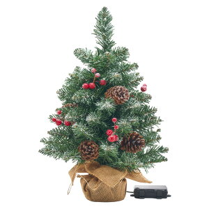 y|Cg10{I20JnIzNX}Xc[ c[ RpNgc[ LEDCgt  Vv RpNg  k ȒPgݗ NX}X Xmas rO _Cj