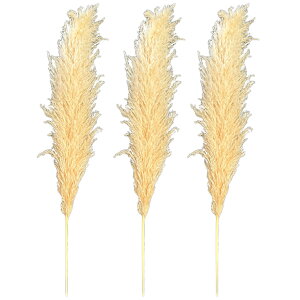 hCt[ VR  CeA XbO ԑ ԍ ϗtA [X u[P  Vv k ؍ ӂӂ rO _CjO a  PampasGrass(ppXOX) LTCY 110cm