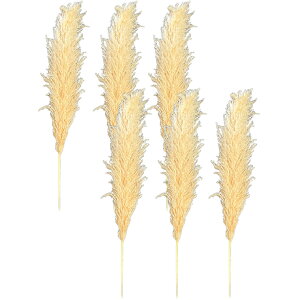 hCt[ VR  CeA XbO ԑ ԍ ϗtA [X u[P  Vv k ؍ ӂӂ rO _CjO a  PampasGrass(ppXOX) LTCY 110cm