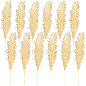 hCt[ VR  CeA XbO ԑ ԍ ϗtA [X u[P  Vv k ؍ ӂӂ rO _CjO a  PampasGrass(ppXOX) LTCY 110cm