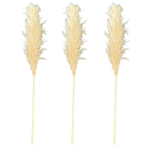 hCt[ VR  CeA XbO ԑ ԍ ϗtA [X u[P  Vv k ؍ ӂӂ rO _CjO a  PampasGrass(ppXOX) TCY 