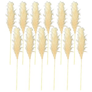 hCt[ VR  CeA XbO ԑ ԍ ϗtA [X u[P  Vv k ؍ ӂӂ rO _CjO a  PampasGrass(ppXOX) TCY 