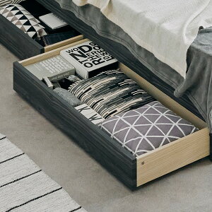 xbht[ DION(fBI) po 2Zbg 2FΉ xbh[ Vv o[  V