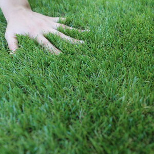 yN[|zzIzlH Ő}bg Ő [ 1m×5m [^Cv A ŏ35mm UVJbgH Ust G΍ hV[gsv h K[f  x_ eX oRj[ 