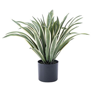 yN[|zzIzlHϗtA tFCNO[ AKx GRN-13 H50cm lHA ϗtA  tFCN  ^ O[ CeA