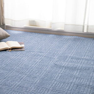 �y�|�C���g7�{�I����20���J�n�z�y���{��/���g�[�Ή��z���D�J�[�y�b�g 176x261cm Amber(�A���o�[) 3�F�Ή� 3���p ���O �J�[�y�b�g ���O�}�b�g �����` �k�� ������� �Z�� �y�� �R���p�N�g ���b�`