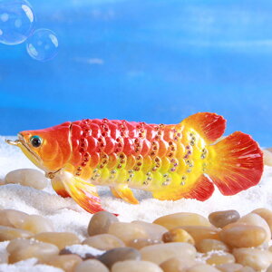 yKiz g Ai N WG[{bNX sBA[X PICALS sJX  uh  v[g IuWF u  av[g v|[Y 