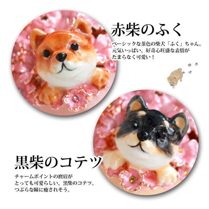 楽天市場 柴犬のふく こてつ いぬ 犬 ジュエリーボックス ピィアース 東京銀座picals 東京銀座ピカルス 可愛い ブランド おしゃれ プレゼント オブジェ 置物 動物 誕生日プレゼント プロポーズ ペット 骨壺 メモリアルボックス ペット 東京銀座picals ピカルス