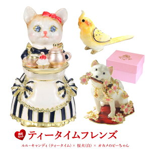 yKizPICALSisJXjeB[^CtY ELfBieB[^Cj ij IJ̃s[ v`Mtg WG[{bNX CeAG 킢 