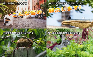 _SSԌII^AbvO[h L悯 悯 悯 ފ Qbފ g/x/LED̓tbVCgŌ 6ރ[h PIRԊOZT[ USB[d\[[ h