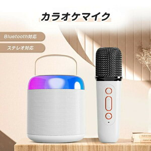 カラオケマイク ワイヤレスマイク2本 スピーカー PAセット Bluetooth対応 ステレオ対応 無線マイク ミニカラオケ マイクセット 小型 ホームカラオケ KTV ポータブル ミニスピーカー カラオケセ