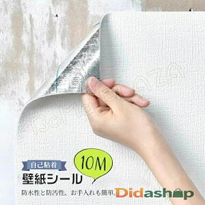 ǎ 10m  ǎV[  h hɂD ǎ ^C ͂ lC̃Lb` ʏ gC CeA n DIY ϖՐ h S Cɂ\ 嗝 h Lb` 