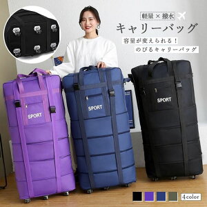 L[obO X[cP[X @\ 2way 6 4iK y y e ϖՐ jp ֕ LX^[ O h H IbNXtH[h Vv ubN O[ u[ p