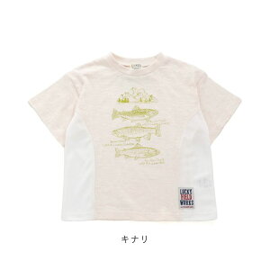 y10%OFFzGtI[LbY  TVc j̎q ̎q  bV ʋC  qǂ q    ނ AEghA gbvX t  H WjA w Rbg  100cm 110