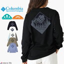 【P3倍/2026春夏新作】コロンビア Columbia Tシャツ ロンT 長袖 メンズ レディース バックプリント 紫外線カット UPF40 吸湿 速乾 ユニセックス アーバンハイクグラフィックロングスリーブTシャツ トップス 登山 アウトドア スポーツ プリント 春 秋 冬 M L XL PG3669