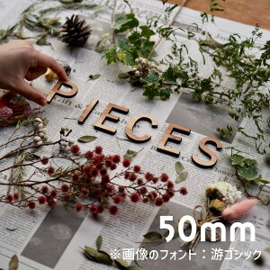 At@xbg ؐ 5cm 5mm hATC l[v[g Ŕ EFfBO{[h EFJ{[h X܃fBXvC Cxgu[XpyPIECES FACTORYz ؕ tHgIׂ 