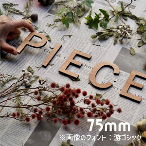 At@xbg ؐ 7.5cm 5mm hATC l[v[g Ŕ EFfBO{[h EFJ{[h X܃fBXvC Cxgu[XpyPIECES FACTORYz ؕ tHgIׂ 