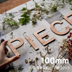 At@xbg ؐ 10cm 5mm hATC l[v[g Ŕ EFfBO{[h EFJ{[h X܃fBXvC Cxgu[XpyPIECES FACTORYz ؕ tHgIׂ 