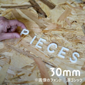 アルファベット 高さ3cm 厚さ3mm ドアサイン ネームプレート 看板 ウェディングボード ウェルカムボード 店舗ディスプレイ イベントブース用【PIECES FACTORY】 切文字 フォントが選べる アクリ