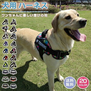  n[lX O  Pi  CjV ȒP h~ Ȃ ^ ^ ^ 킢 U o AEghA qh~ ʋC iC }WbNe[v nh