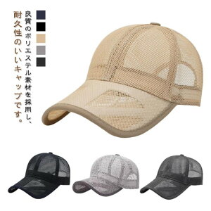 YLbv bV rbOTCY 傫 StX 싅 Lbv nbg Lbv Xq x[X{[Lbv