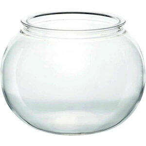  ی^ vX`bNAN ϗtA CeA eANAE {E | e  CeA ԕr 