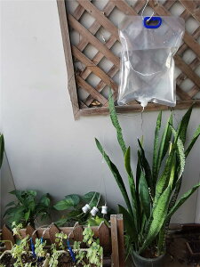 自動水やり器 自動水やりキャップ 植物 自動給水器 給水キャップ 水量調節可能 3つの水出口 点滴灌漑 5.2L 大容量 ウォーター バッグ フック 付き 留守中の水やり 出張 旅行 園芸 植木鉢 観葉