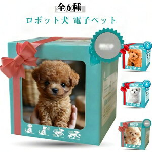 S6 ̂ʂ  {bg dqybg 񂿂  ʂ   ybg  ̎q j̎q a v[g Mtg