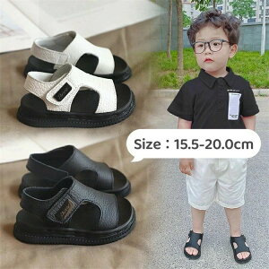 T_ j̎q q LbY ~ lC  ₷ w T_ y y ʋC 킢 qC w ct ǂ  lC