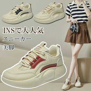 fB[X Xj[J[  V[Y C  WjA y C\[  L b r 킢 Xj[J[ EH[LO ₷ ₷ ɂ ꂢ O C