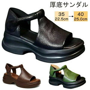 T_ fB[X Ȃ 5cm ꂢ I[vgDEFbW\[T_  T_ PU fB[X ̌ xNfUC 4E  [} r Ȃ ~ t