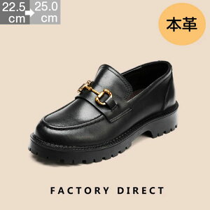 [t@[ fB[X  [t@[ ₷ {v vC 3.5cmq[ 22.5cm25.0cm  ubN [t@[