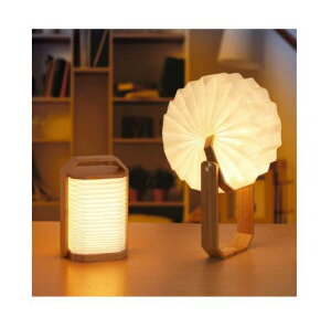 Ebh xbhTChv LED Cg xbhCg y 3_[h ڂɗD ܂肽 pxύX\ ȃGl usb[d   d΍ h ドv  a hV