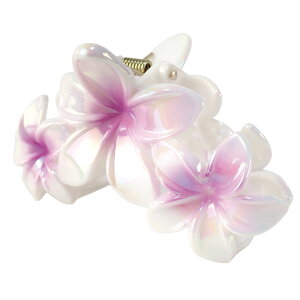 wANbv oXNbv wAANZT[ fB[X OA vA tWpj    t_X nCA nC 썑  gsJ wAANZ r[` tHg t