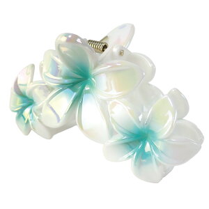 wANbv oXNbv wAANZT[ fB[X OA vA tWpj    t_X nCA nC 썑  gsJ wAANZ r[` tHg t