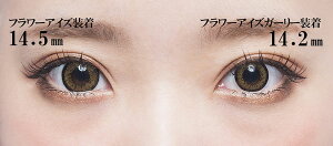 フラワーアイズGirlyカラコンカラーコンタクトレンズ1箱1枚入度なし度あり使い捨てアイリスブラウンマンスリーナチュラル14.2mm