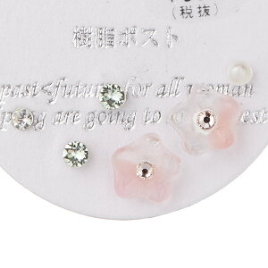 sAXZbg AM[Ή fB[X 킢ԂƃCXg[̃ZbgsAX NAJ[ p[ 炫  X^bhsAX ig Ԍ^ |Xg [