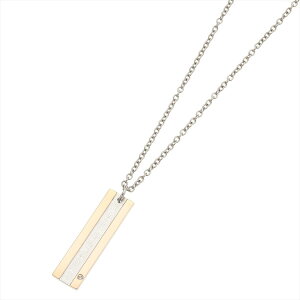 lbNX fB[X Y T[WJXeX316L v[g nCAWG[ jZbNX c^ AM[ Ή S Vo[ S[h yAɂ 50cm [  t