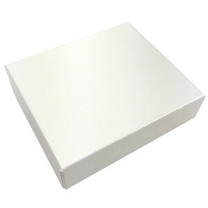 Mtg{bNX v[g  傫 ` t^t n \ p [ ۊǗp ϔ  ł NbVȓ 8.5cm10cm3cm ANZT[    uE zCg 