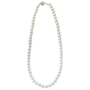 lbNX fB[X p[ ^ ^b` zCg ubN tH[} Vv VbN i l   ʖ  ʎ p[eB[ v[g Mtg 40cm 45cm 50cm 8