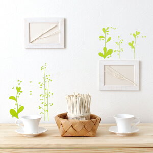 EH[XebJ[ L R \Ă͂ ̐A nEXW[_ KX ǖ V[ ̖͗lւ  t  O[ A 