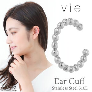 vie C[Jt fB[X vie T[WJXeX316L hbg ؚ אg Vv Ўp 1 AM[Ή AM[ CJt 킢 l IV p[eB[ a
