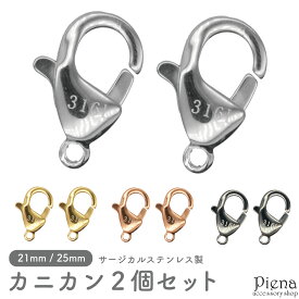 カニカン レディース メンズ サージカルステンレス製 パーツ 金具のみ 留め具 2個セット 21mm 25mm お肌に優しい 低金属アレルギー対応 ハンドメイド DIY 手作り 接続パーツ アクセサリー作り オリジナル作成 メール便送料無料