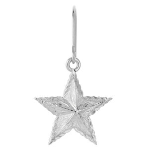 sAX ςȂ fB[X T[WJXeX Ўp 1 nCAWG[ nW  X^[ XN[ g h ɗD AM[Ή i 킢 