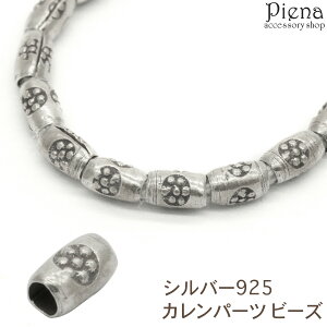 Jp[c r[Y JVo[ f phDA  ͗l  Vo[925 X^[OVo[ nhCh  ANZT[ f ޗ Ntg v[g Mtg [