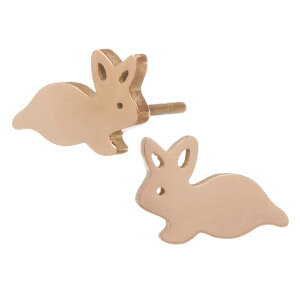 X^bhsAX fB[X T[WJXeX  x  Vo[ S[h sNS[h ubN ~j  ɗD AM[Ή J   