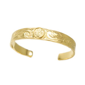 nCAWG[ oO Y T[WJXeX AM[Ή Hawaii nW XN[ yA uXbg A  jp Vv ׂ  a M