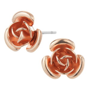 sAX ςȂ fB[X T[WJXeX|Xg [Y ɗD AM[Ή o GKg Ԃ ؚ Vv i   JWA p[eB